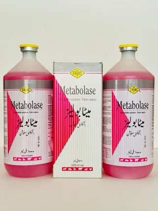 Metabolase 500ml infusion bottle view showing FATRO Italian branding