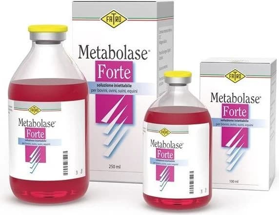 METABOLASE FORTE metabolic balancer and liver detoxicant packaging