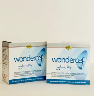 Wondercef 4g carton rear showing target species and indication profile