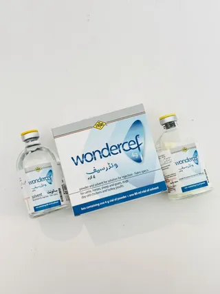 Wondercef 80ml solvent bottle view showing reconstitution guidance