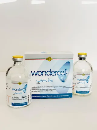 Wondercef 4g active substance vial with FATRO Italian quality seal